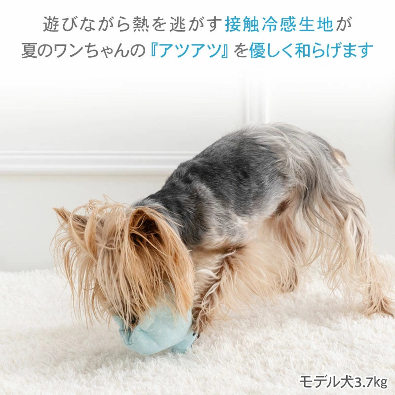 Cool Seashell Squeaky Toy