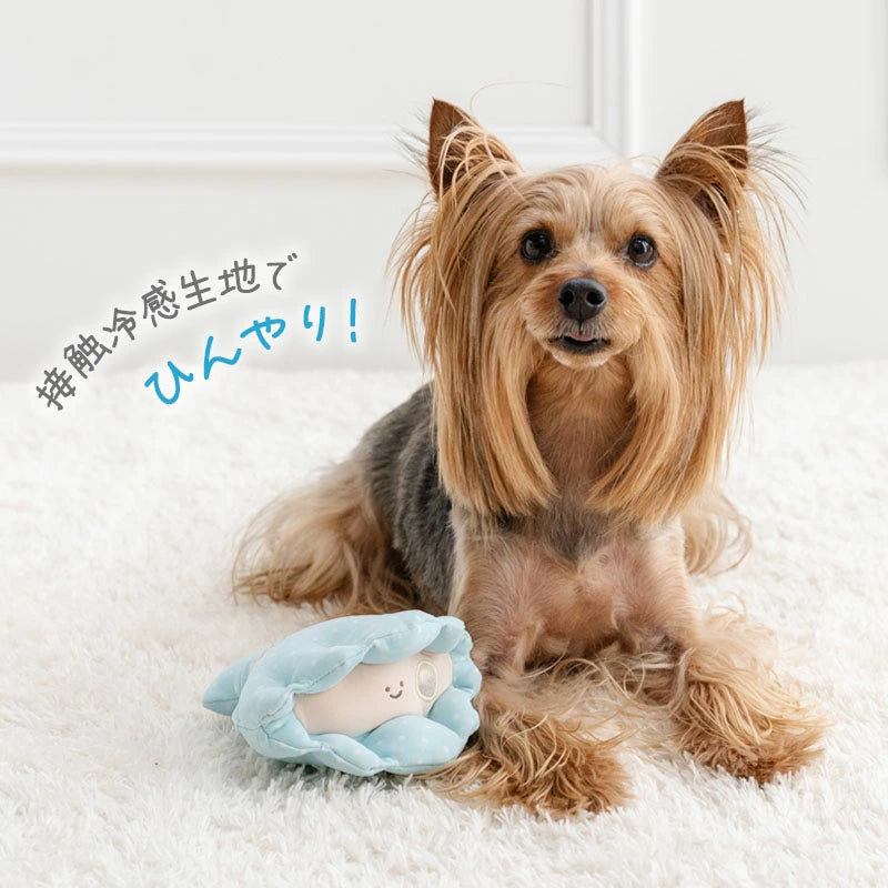 Cool Seashell Squeaky Toy