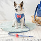 Authentic Disney Donald Leash Harness Collar