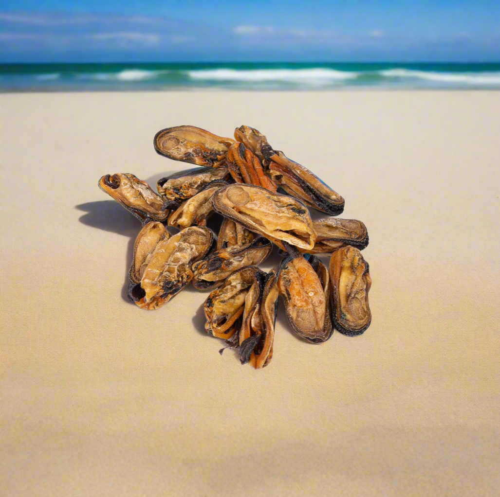 Green Lipped Mussel 100g | Frenzy Munchy