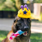Birthday Toys and Packs