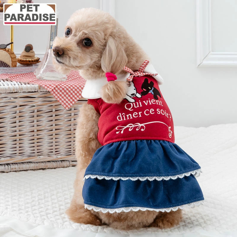 Authentic Lisa and Gaspard Sweatshirt Dress