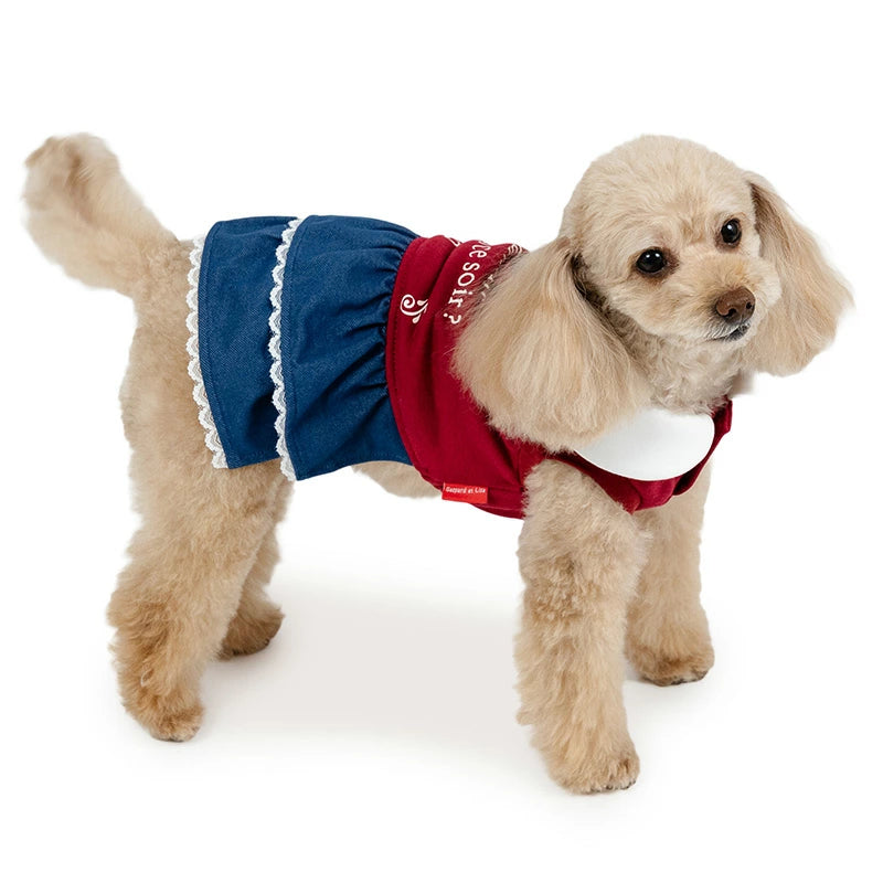 Authentic Lisa and Gaspard Sweatshirt Dress