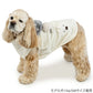Gaspard and Lisa Dog Winter Scarf Vest