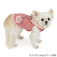 Disney Winnie the Pooh Piglet Top