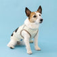 Authentic Disney Mickey Mouse Dog Tank Top – COOLMAX® Insect Repellent Cool-Touch Summer Vest