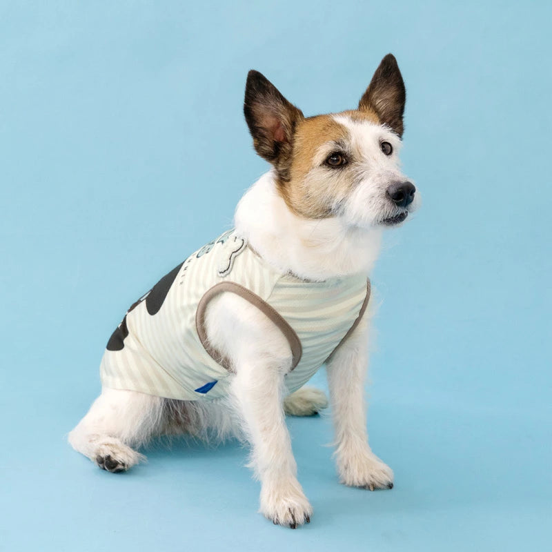 Authentic Disney Mickey Mouse Dog Tank Top – COOLMAX® Insect Repellent Cool-Touch Summer Vest