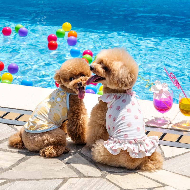 Summer dog clothes, cool to the touch, duck camisole, for small and medium-sized dogs, heat protection | Yellow, absorbent, quick-drying, insect protection