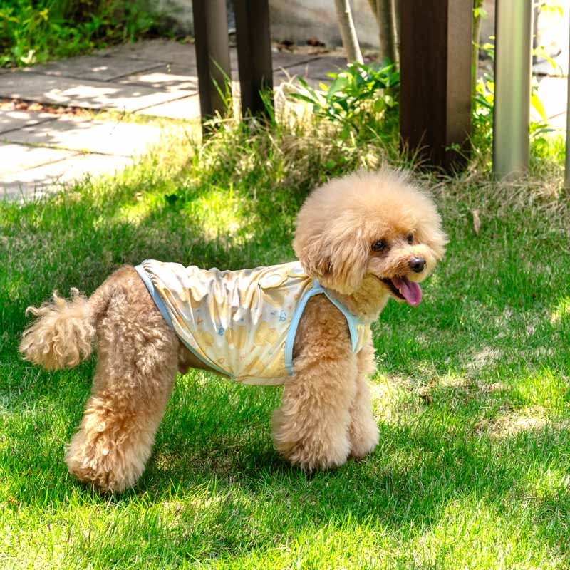 Summer dog clothes, cool to the touch, duck camisole, for small and medium-sized dogs, heat protection | Yellow, absorbent, quick-drying, insect protection