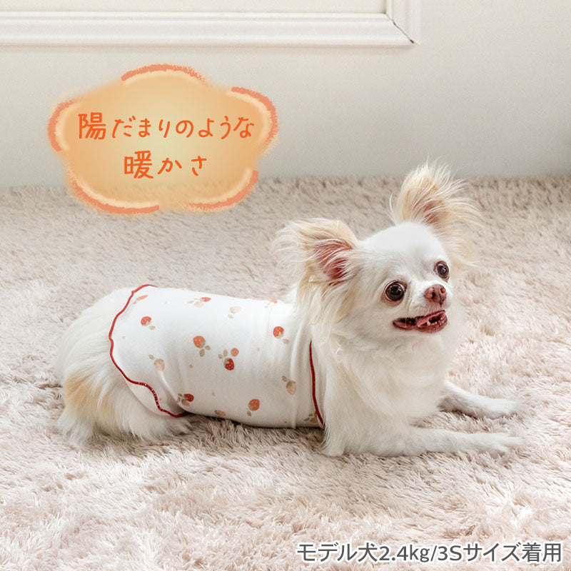 Winter Strawberry Pattern Petty Heat Tenjuku Belly Roll | Warm Cold Protection