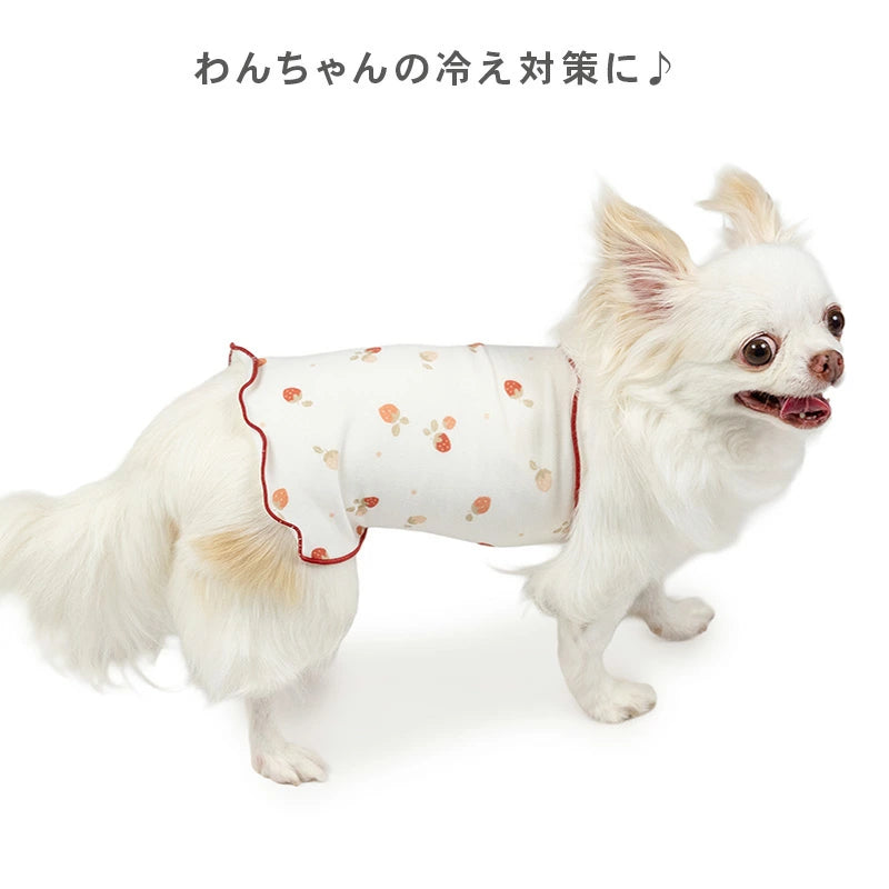 Winter Strawberry Pattern Petty Heat Tenjuku Belly Roll | Warm Cold Protection