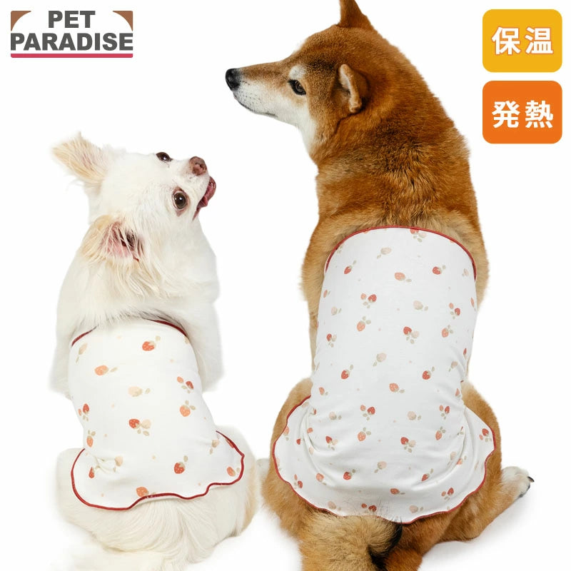 Winter Strawberry Pattern Petty Heat Tenjuku Belly Roll | Warm Cold Protection