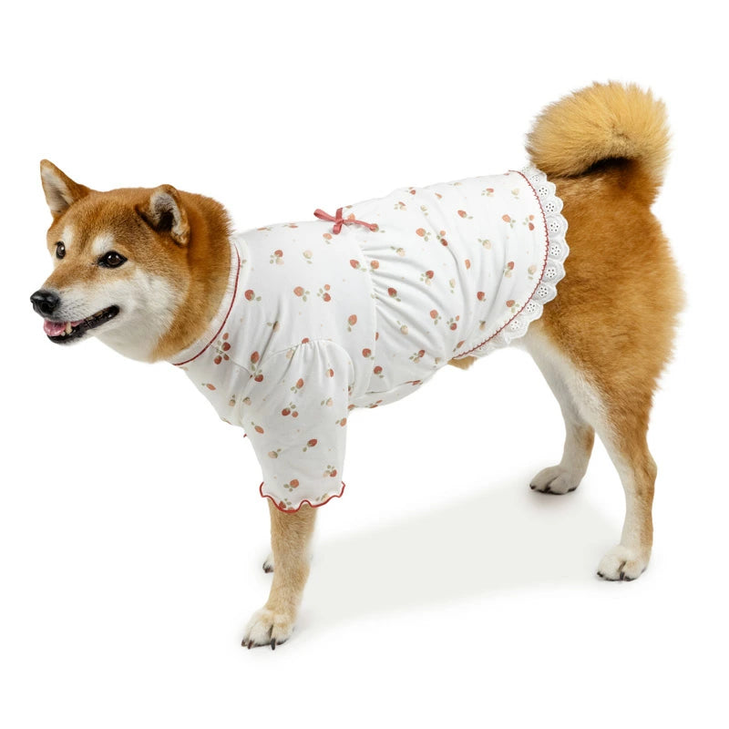 Petitheat Winter Dog T-Shirt with Strawberry Print