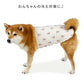 Winter Bear Pattern Petty Heat Tenjuku Belly Roll | Warm Cold Protection