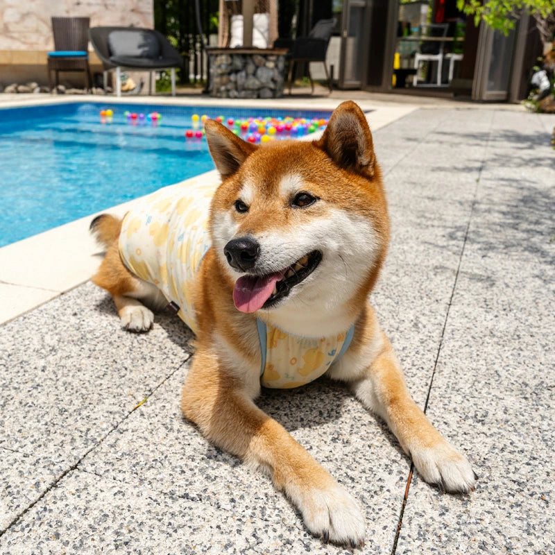 Summer dog clothes, cool to the touch, duck camisole, for small and medium-sized dogs, heat protection | Yellow, absorbent, quick-drying, insect protection