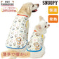 Authentic Snoopy Beige Sweatshirt