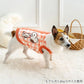 Authentic Snoopy Vest