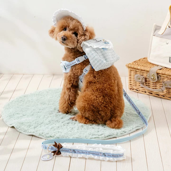 Authentic Disney Alice Backpack Harness and Leash