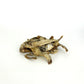 Anchovies 70g