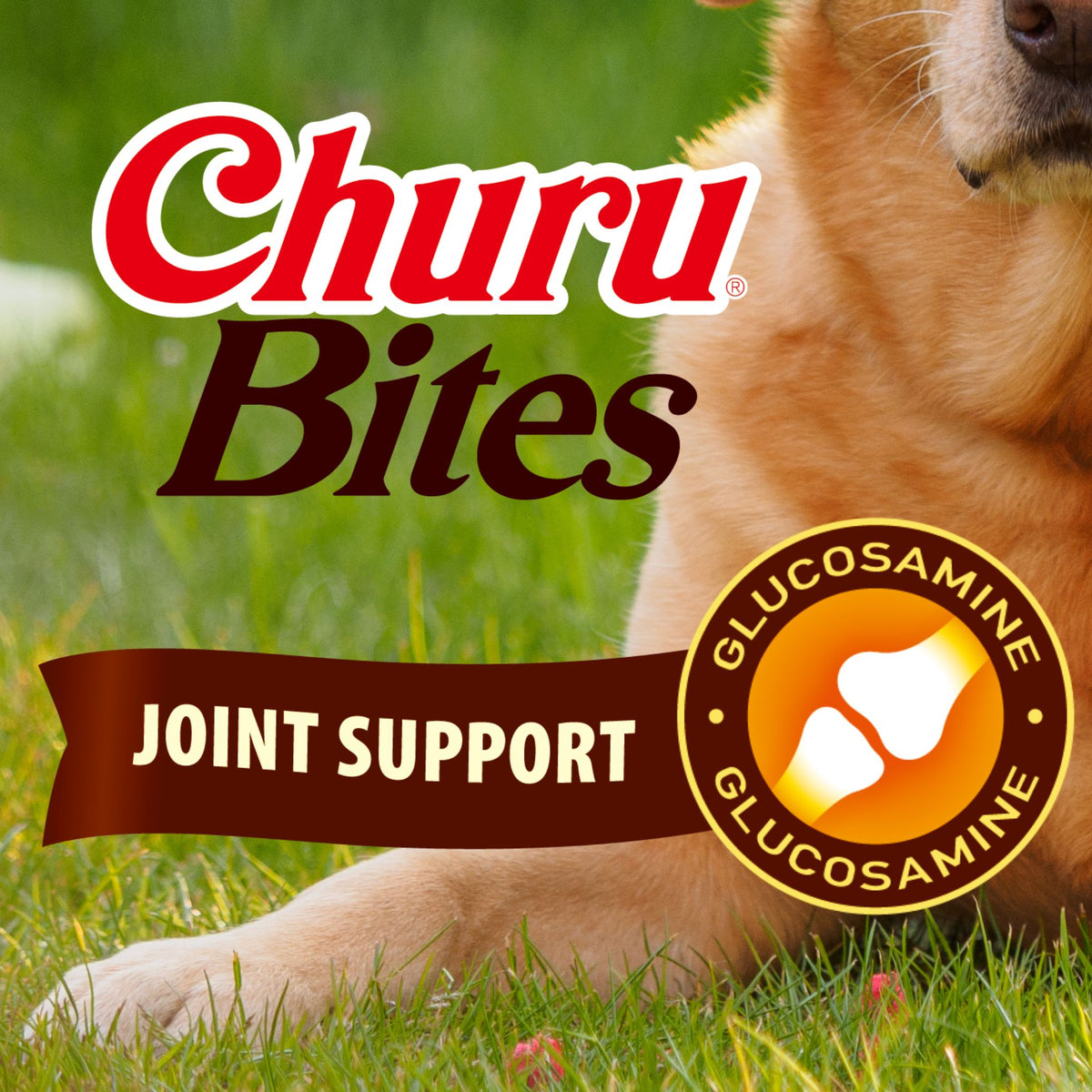 Inaba Churu Bites for Dogs Joint Support | Chicken 36g