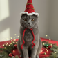 Handmade Xmas Hat  with a Star