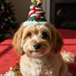 Handmade Xmas Bandana with Santa