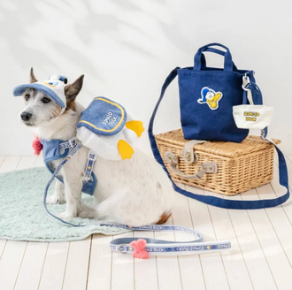 Authentic Disney Donald Leash Harness Collar