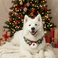Handmade Xmas Bandana with Santa