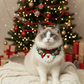 Handmade Xmas Bandana with Santa