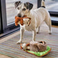 Forest Friends Toys