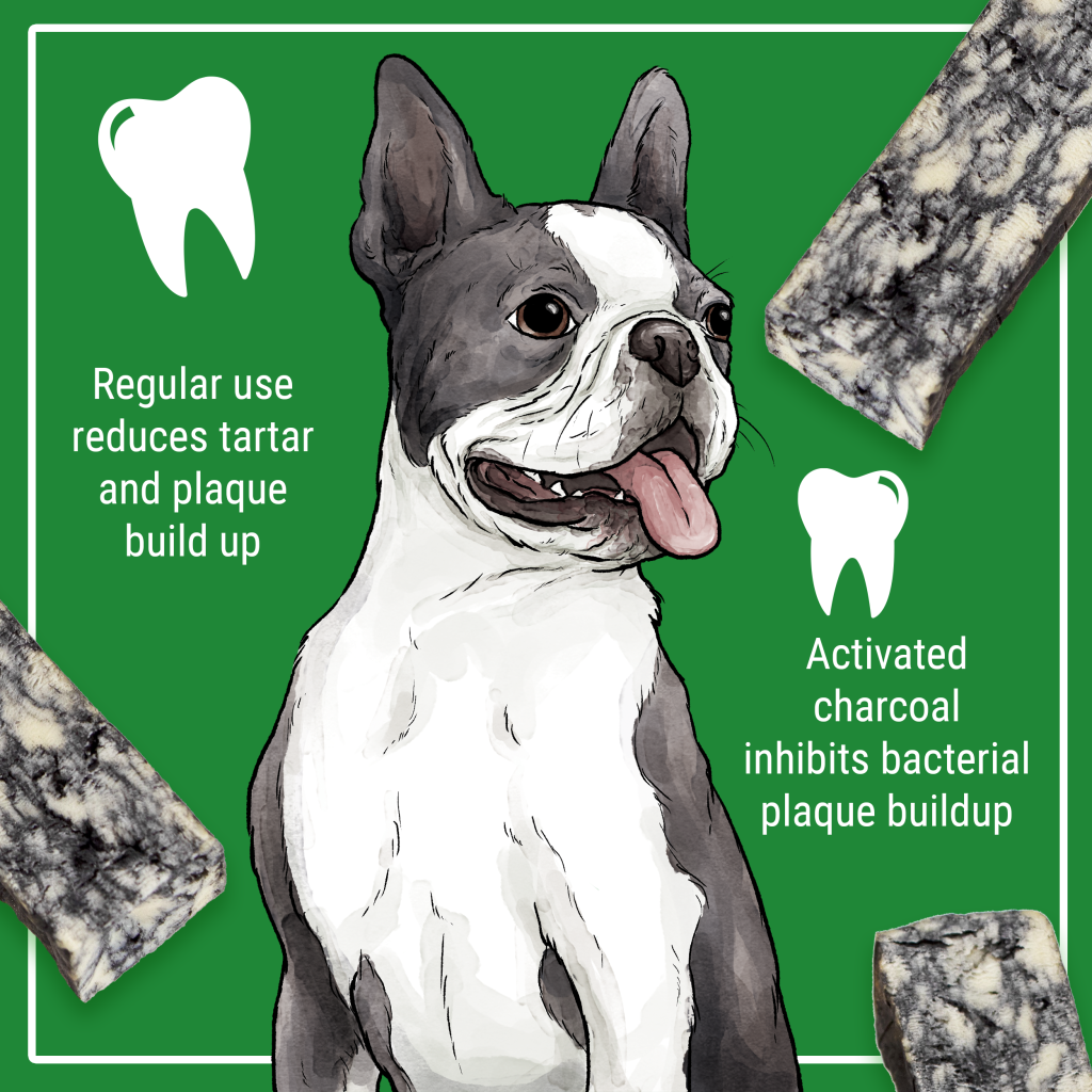 Himalayan Dog Chew Cheese Char with Activated Charcoal Medium 1pk