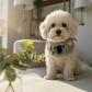 Handmade Australia Pet Bandana – Koala Bib