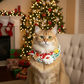 Handmade Christmas Gingerbread Man Bandana for Dogs & Cats | Large Breeds