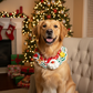 Handmade Christmas Gingerbread Man Bandana for Dogs & Cats | Large Breeds