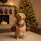 Handmade Christmas Bell Bandana for Dogs & Cats