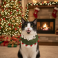 Handmade Christmas Tree Hat and Bandana for Dogs & Cats