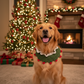 Handmade Christmas Tree Hat and Bandana for Dogs & Cats