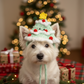 Handmade Fluffy Christmas Hat for Cats & Dogs | Crochet Cotton