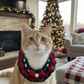 Handmade Xmas Bandana