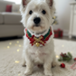 Handmade Xmas Bandana with a Bell