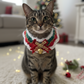 Handmade Xmas Bandana with a Bell