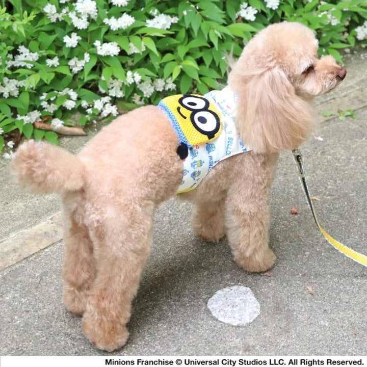 cool vest, Minion, Bob, ice pack,  cool to the touch, pocket cool, refreshing, for walks