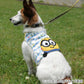 cool vest, Minion, Bob, ice pack,  cool to the touch, pocket cool, refreshing, for walks