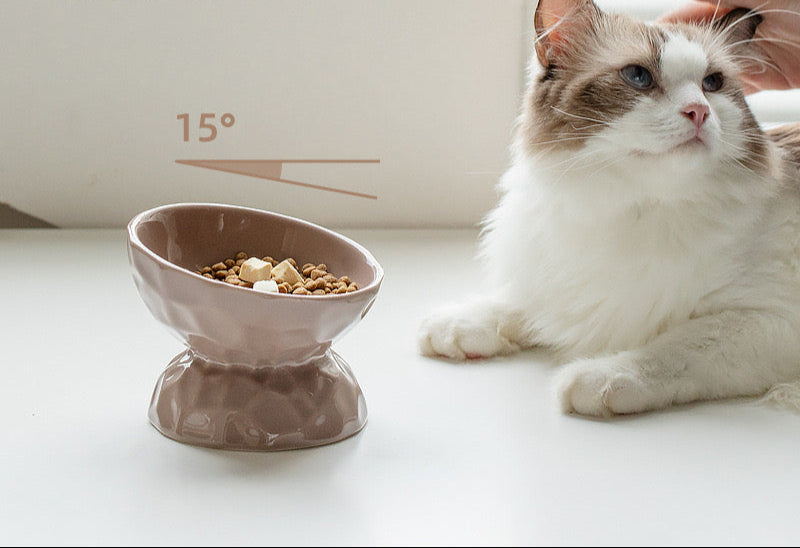 Slanted/Flat Ceramic Bowl