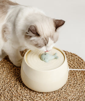 1.3L USB Ceramic Whale Water Fountain