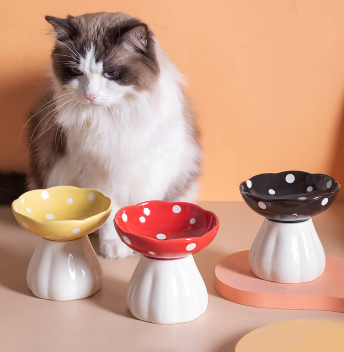 Elevated Bowl - Mushroom