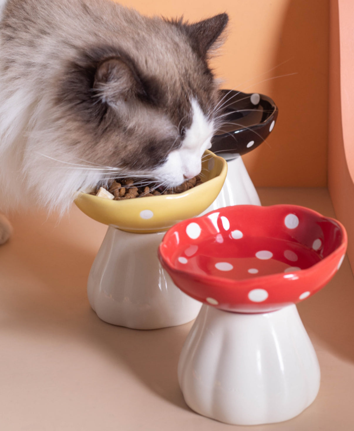 Elevated Bowl - Mushroom