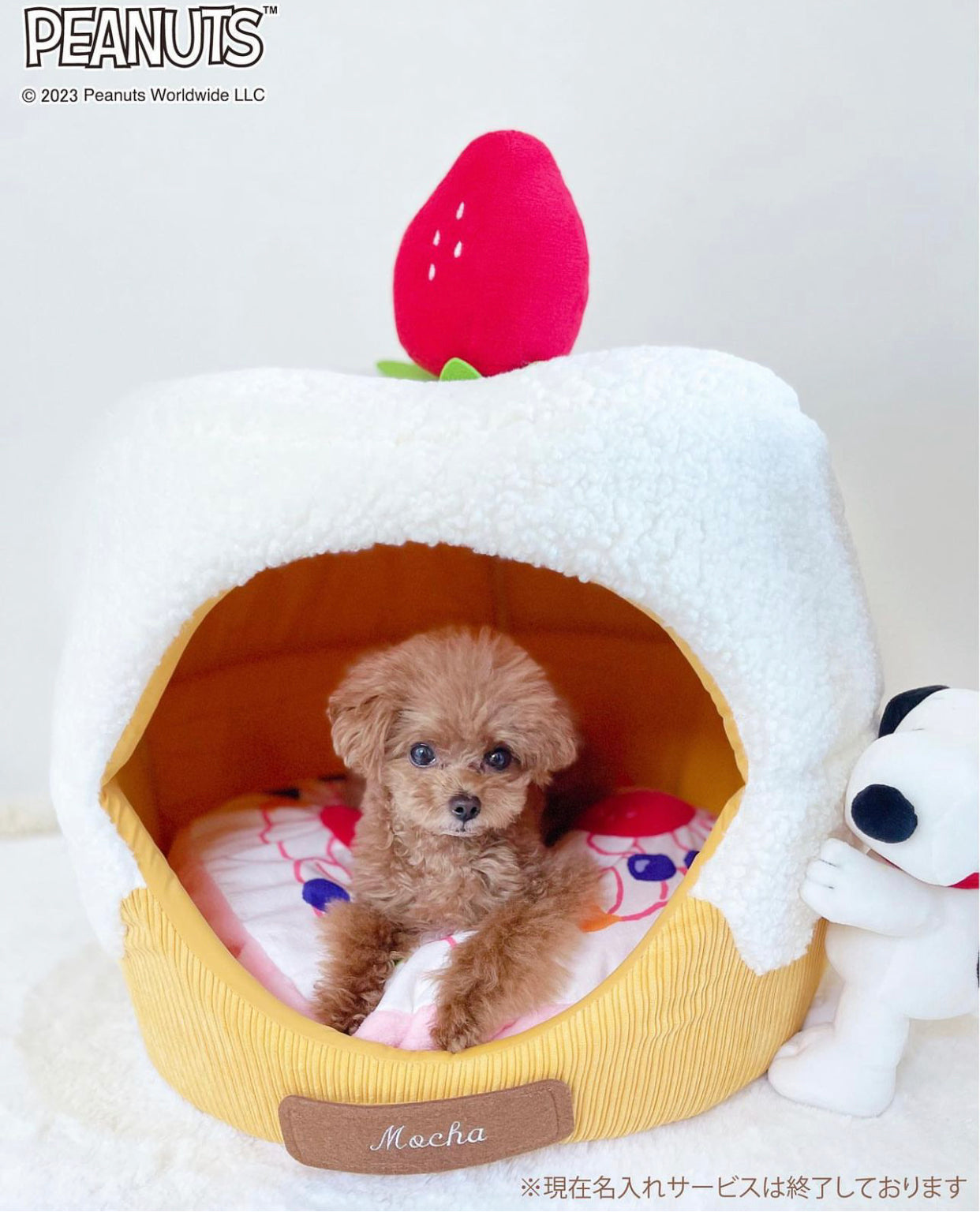 Snoopy 2way Pet Bed Anniversary Birthday | Cuddler Cake with Mascot Strawberry Fruit Birthday