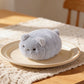 Little Cat Soft Toy