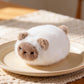 Little Cat Soft Toy
